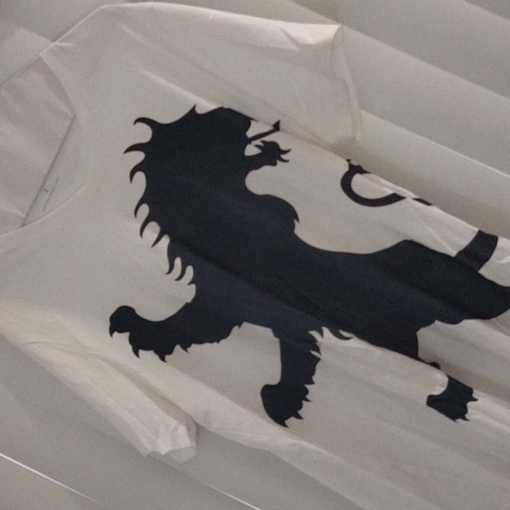 Express white lion graphic V neck tee